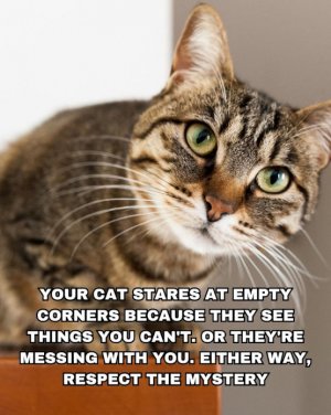 FB_IMG_1752117059874.jpg