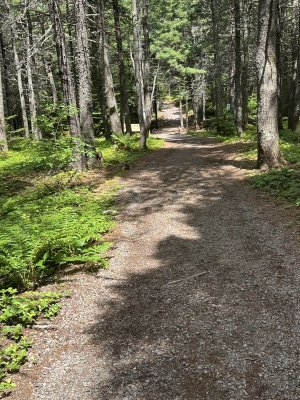 IMG_9605.jpeg