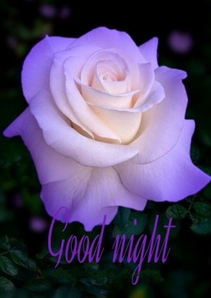 night 07 12 25.jpg