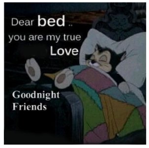 Bed night.jpeg