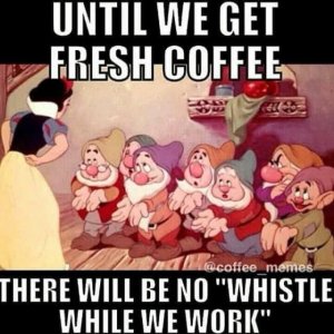 IMG_2077.jpeg
