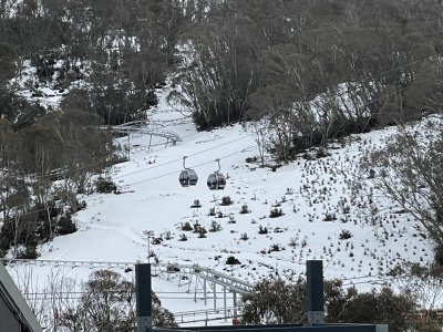 IMG_4443.jpeg