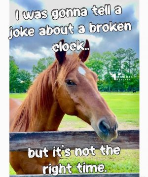 FB_IMG_1752395463743.jpg