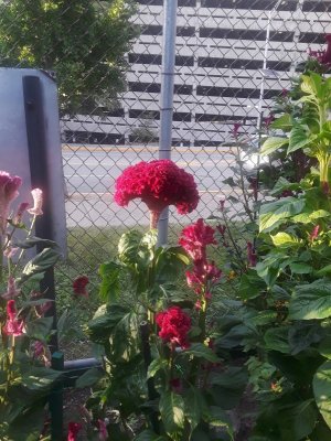 20190826_184807.jpg