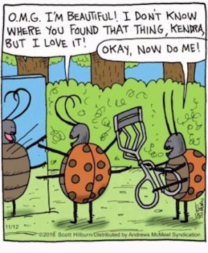 Bugs @.jpg