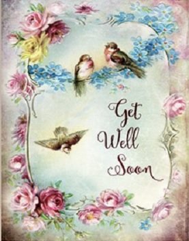 birds.jpg