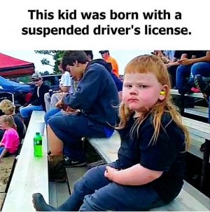suspended.jpg