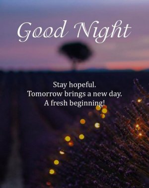 night 07 13 25.jpg