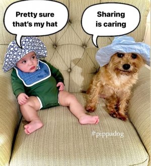 FB_IMG_1752203063333.jpg
