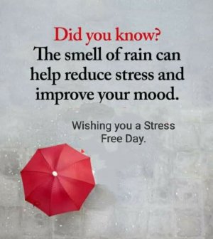 FB_IMG_1752205342223.jpg