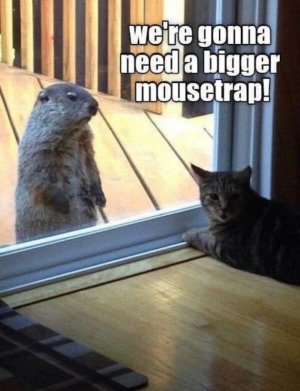 FB_IMG_1752395192257.jpg
