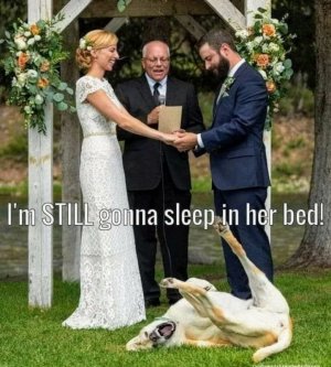 FB_IMG_1752330252975.jpg
