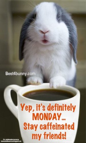 monday_caffeniated.jpg