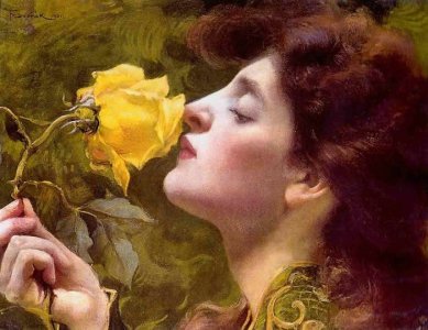 franz dvorak rose.jpg
