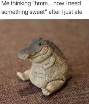 a alligator just ate joke.jpg