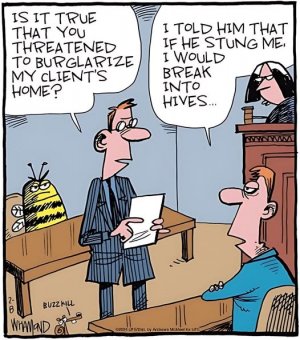 a beee hive joke.jpg