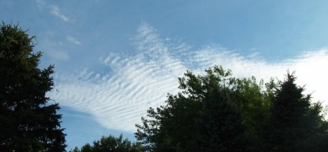 clouds July 9 2025b.jpg