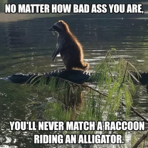 FB_IMG_1752435255654.jpg