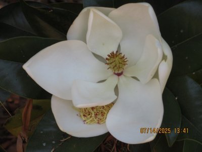 IMG_0379.JPG