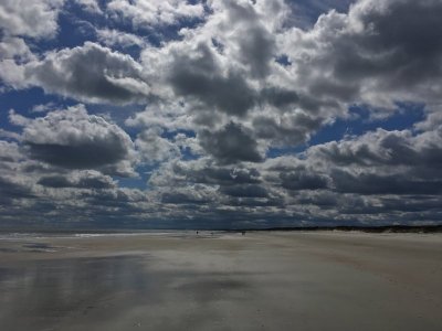 IMG_3972.JPG