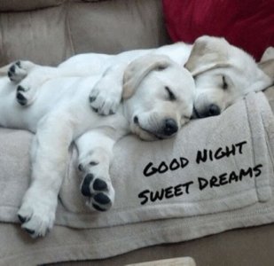 gdnt.swt.drms.jpg