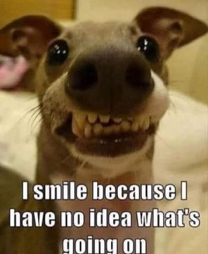 FB_IMG_1752506652463.jpg