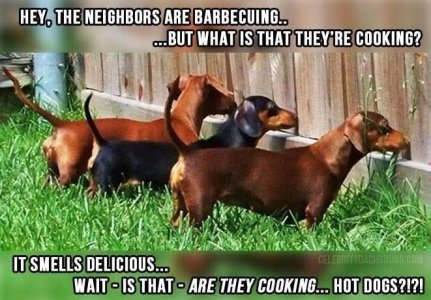 FB_IMG_1751971050986.jpg
