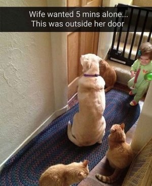 FB_IMG_1751684121501.jpg