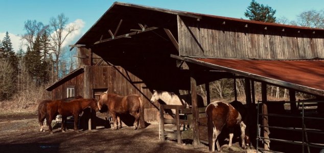 barn0.jpg