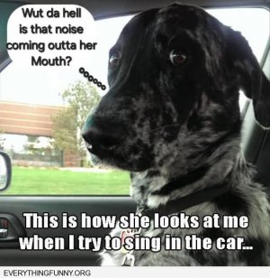 a dog sing joke.jpg