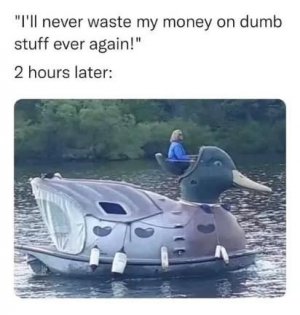 duck water.jpeg