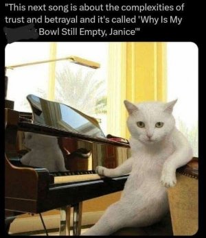 FB_IMG_1752600675932.jpg