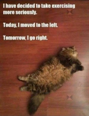 FB_IMG_1683751768030.jpg