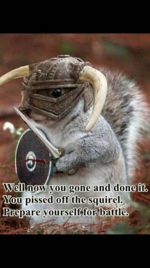FB_IMG_1751684137629.jpg