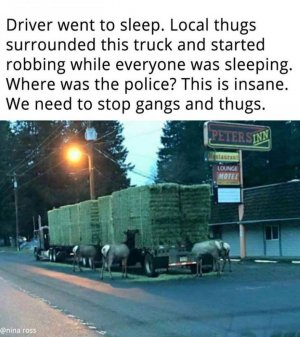 1ff1b4d0215d10d83f1a8cb28bd4df9e.jpg