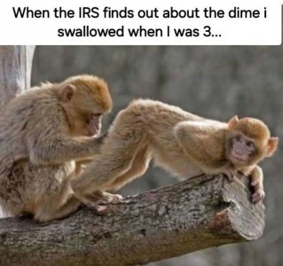 FB_IMG_1752614182257.jpg