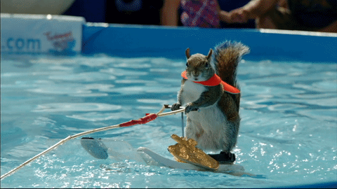 1000013044.gif