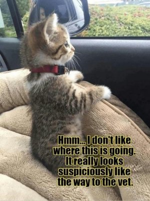 FB_IMG_1752670580837.jpg