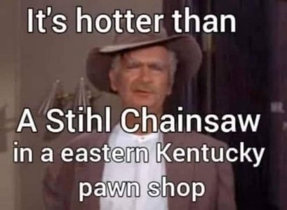 Stihl.jpg