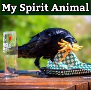 IMG_8372.jpeg
