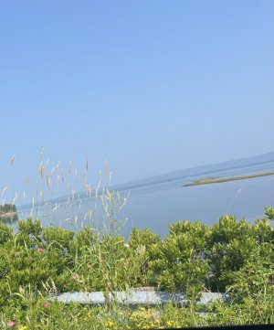 IMG_9662.jpeg