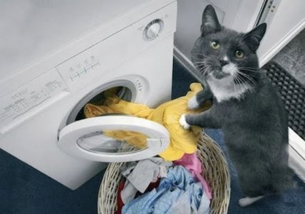 Laundry @.jpg