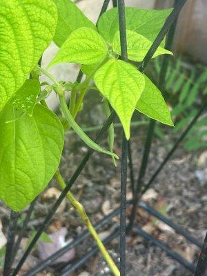 IMG_1355.jpeg