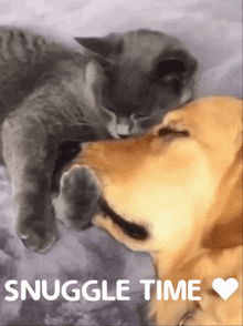 snuggle-time-snuggle.gif