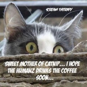 FB_IMG_1752681768323.jpg