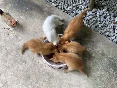 IMG_2112.JPEG