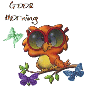Good Morn Owl.gif