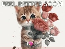 IMG_0478.jpeg