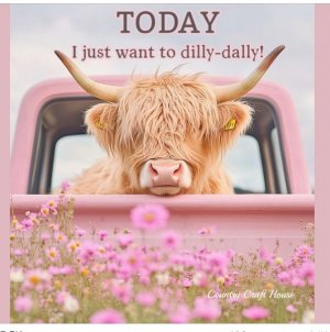 Coo dilly Large.jpeg
