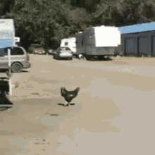 ccr1.gif ccr1.gif